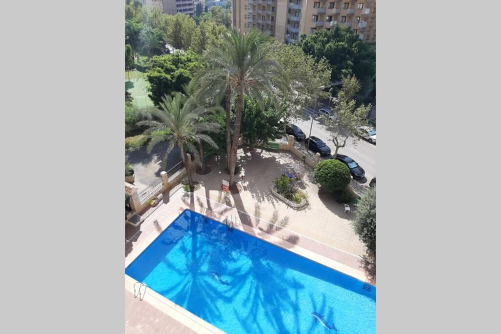 Moby Dick 3A Lägenhet Benidorm Exteriör bild